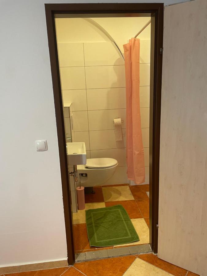 Hostel Viktoria Artur *
